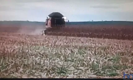 Fazenda com 420 alqueires dupla aptidão no município de fortaleza do tabocão - to
