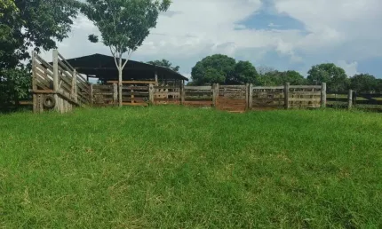 Fazenda dupla aptidão com 288 alqueires em marianópolis do tocantins - to  no vale do araguaia
