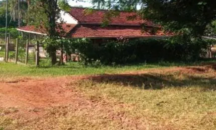 Fazenda dupla aptidão com 62 alqueires em campina verde - mg