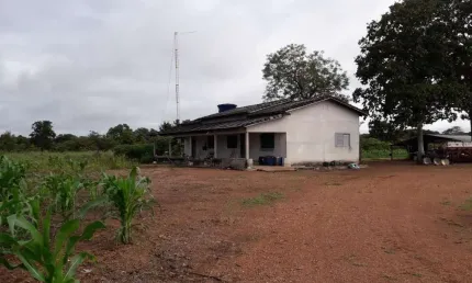 FAZENDA DUPLA APTIDÃO COM 250 ALQUEIRES EM DUERÉ - TO NO VALE DO ARAGUAIA