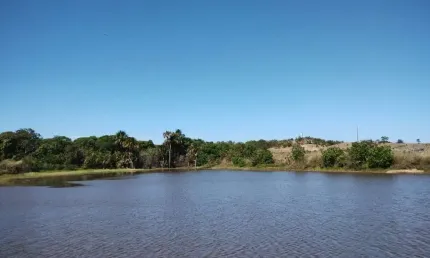 FAZENDA COM 137 ALQUEIRES DUPLA APTIDÃO NO MUNICÍPIO DE CRISTALÂNDIA-TO