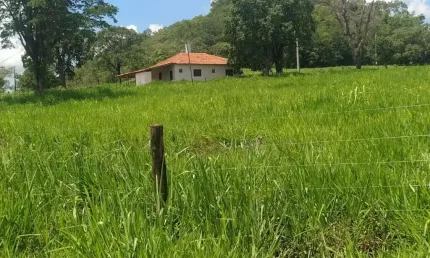 Fazenda dupla aptidão com 16,5 alqueires em campina verde - mg