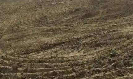 FAZENDA DUPLA APTIDÃO COM 1.290 HECTARES EM NIQUELÂNDIA- GO