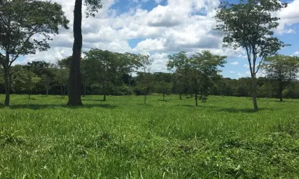 FAZENDA DUPLA APTIDÃO COM 415 ALQUEIRES EM MIMOSO - GO