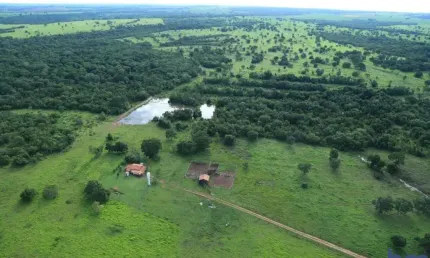 Fazenda dupla aptidão com 435 alqueires em novo planalto - go