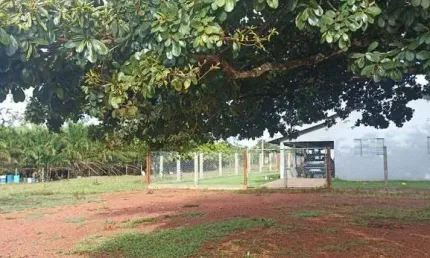 Fazenda dupla aptidão com 105 alqueires em fazenda nova - go