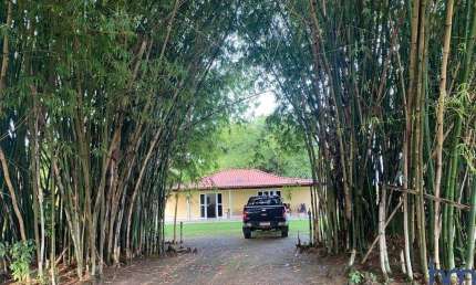 FAZENDA DUPLA APTIDÃO 382 ALQUEIRES EM SANTANA DO ARAGUAIA-PA