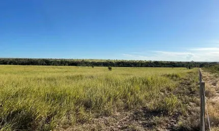 Fazenda dupla aptidão com 548 alqueires em nova lacerda - mt