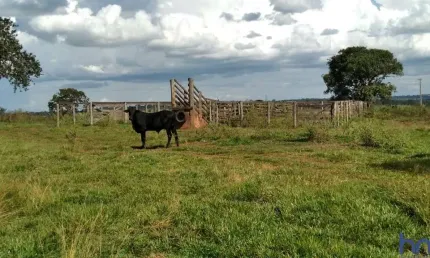 Fazenda com 15 alqueires dupla aptidão no município de campina verde - mg