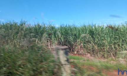 FAZENDA DUPLA APTIDÃO EM CANA COM 54 ALQUEIRES EM ITUIUTABA - MG