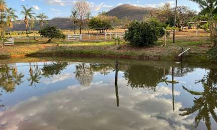 FAZENDA DUPLA APTIDÃO COM 103 ALQUEIRES EM ARAGUARI - MG