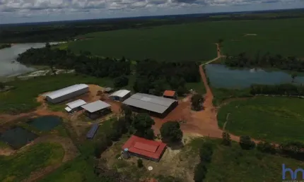 Fazenda com 955 alqueires dupla aptidão em divinópolis do tocantins - to