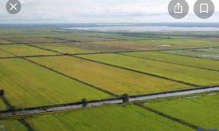 FAZENDA DUPLA APTIDÃO COM 6.144 ALQUEIRES EM LAGOA DA CONFUSÃO - TO  REGIÃO DO VALE DO ARAGUAIA