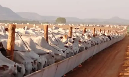FAZENDA DUPLA APTIDÃO COM 4.095 ALQUEIRES EM GOIATINS - TO
