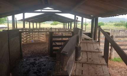 FAZENDA COM 1.042 ALQUEIRES DUPLA APTIDÃO EM SÃO FÉLIX DO XINGU-PA