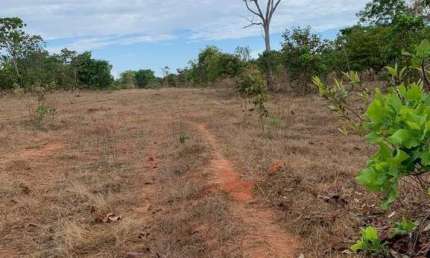 FAZENDA COM 1.480 HECTARES DUPLA APTIDÃO EM PARANATINGA - MT
