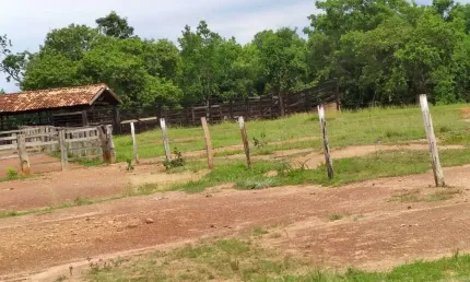 FAZENDA 1.510 ALQUEIRES DE DUPLA APTIDÃO EM SILVANÓPOLIS-TO
