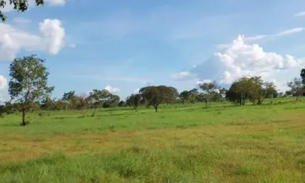 Fazenda dupla aptidão com 270 alqueires em duerê - to