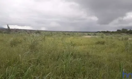 Fazenda dupla aptidão com 141 alqueires em santa rita do tocantins - to