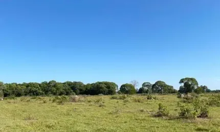 Fazenda dupla aptidão com 447 alqueires em são miguel do araguaia - go