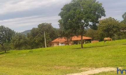 FAZENDA PARA PECUÁRIA COM 500 ALQUEIRES EM PARANÃ - TO