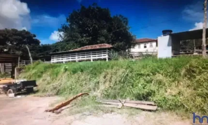 Fazenda dupla aptidão com 310 hectares em baependi - mg
