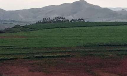 FAZENDA DUPLA APTIDÃO COM 28 ALQUEIRES PAULISTAS EM VARGEM BONITA-MG