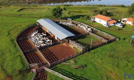 FAZENDA COM 401 ALQUEIRES PAULISTAS DUPLA APTIDÃO EM NOVA ANDRADINA - MS