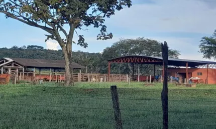 Fazenda à venda na Estrada Vicinal Municipal Do Prata, Km 5,2, Zona Rural, Prata
