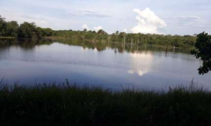 FAZENDA DUPLA APTIDÃO COM 455 ALQUEIRES EM DUERÊ - TO