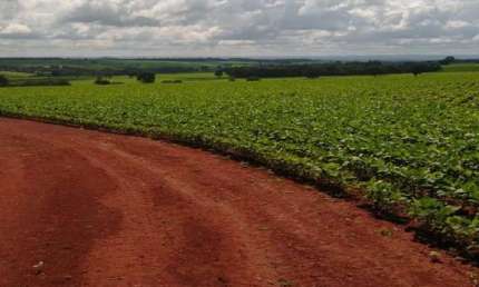FAZENDA COM 85 ALQUEIRES DUPLA APTIDÃO EM CRISTIANÓPOLIS - GO