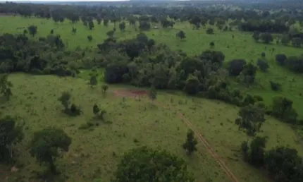 Fazenda dupla aptidão com 210 alqueires em alto horizonte - go