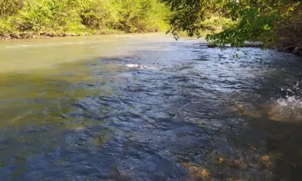 Fazenda com 75 alqueires dupla aptidão em jaraguá - go