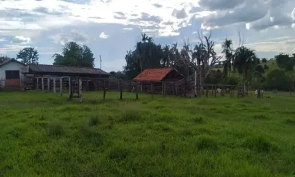 FAZENDA COM 45 ALQUEIRES DUPLA APTIDÃO NO MUNICÍPIO DE CAMPINA VERDE - MG