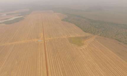 FAZENDA COM 514 ALQUEIRES DUPLA APTIDÃO EM ÁGUA BOA - MT