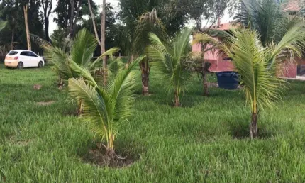 Fazenda com 1.000 alqueires dupla aptidão no município de nova crixás - go