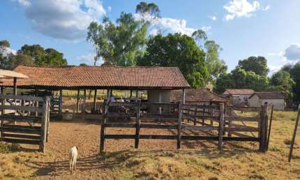 FAZENDA 218 ALQUEIRES DE DUPLA APTIDÃO EM FORMOSO DO ARAGUAIA-TO