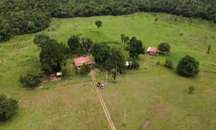 Fazenda com 254 alqueires para pecuária no município de miranorte - to