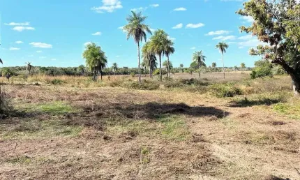 Fazenda com 350 alqueires dupla aptidão no município de palmeirante - to
