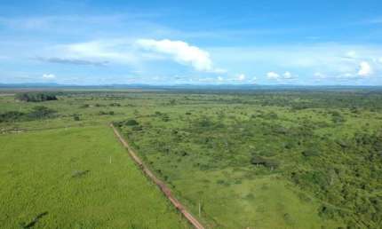 FAZENDA COM 454 ALQUEIRES DUPLA APTIDÃO NO MUNICÍPIO DE COUTO MAGALHÃES - TO