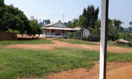 FAZENDA COM 280 ALQUEIRES PARA PECUÁRIA NO MUNICÍPIO DE SÃO FÉLIX DO XINGU - PA
