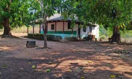 FAZENDA COM 146 ALQUEIRES DUPLA APTIDÃO NO MUNICÍPIO DE PORTO NACIONAL - TO