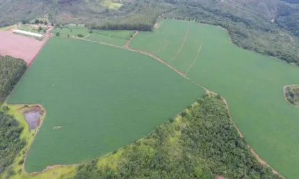 FAZENDA DUPLA APTIDÃO 150 ALQUEIRES PAULISTAS EM PIUMHI-MG