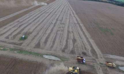 FAZENDA DE DUPLA APTIDÃO COM 1.370 ALQUEIRES EM COCALINHO-MT