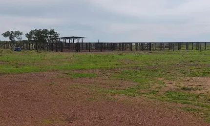 Fazenda com 320 alqueires dupla aptidão em bom jesus do tocantins - to