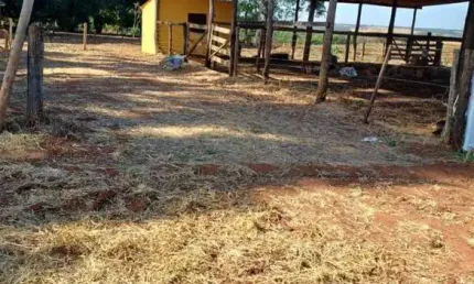 FAZENDA COM 15 ALQUEIRES DUPLA APTIDÃO NO MUNICÍPIO DE ARAPORÃ - MG