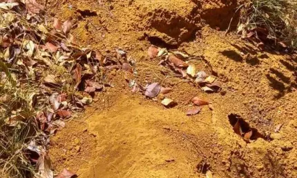 FAZENDA DUPLA APTIDÃO COM 10.000 HECTARES ÁREA BRUTA EM BARÃO DE GRAJAÚ - MA