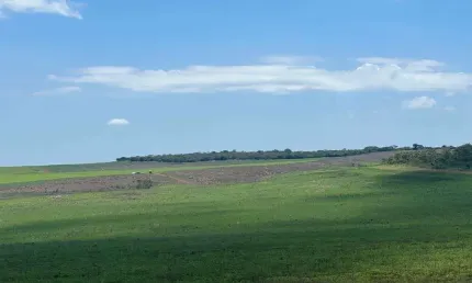FAZENDA 230 ALQUEIRES PARA LAVOURA COM DÍVIDAS EM CRISTALINA-GO