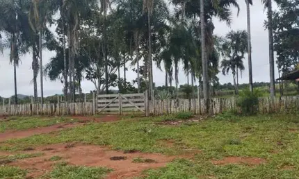 Fazenda dupla aptidão 146 alqueires em bom járdim de goiás