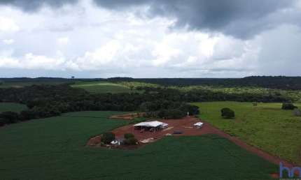 FAZENDA PARA AGRICULTURA COM 1.300 HECTARES EM PRIMAVERA DO LESTE